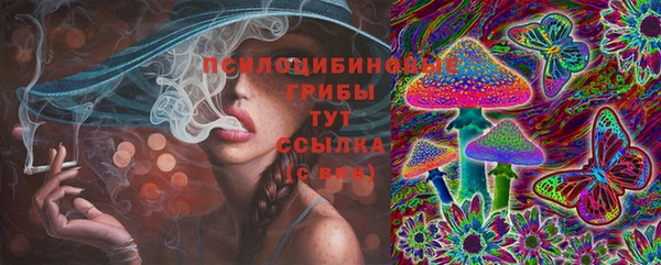 ГАЛЛЮЦИНОГЕННЫЕ ГРИБЫ Алексеевка