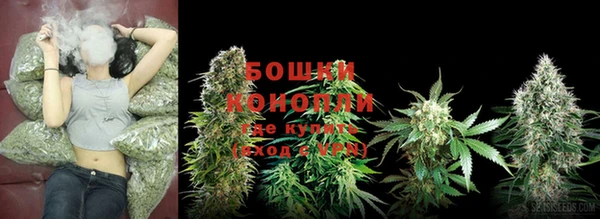 ГАЛЛЮЦИНОГЕННЫЕ ГРИБЫ Алексеевка