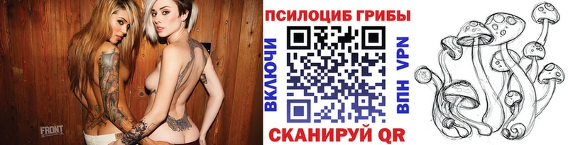 закладки Енисейск Галлюциногенные грибы Psilocybe